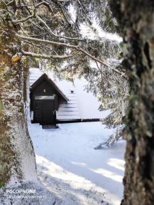 兹雷切Tree Top Rogla Apartment的前方有树的雪间小屋