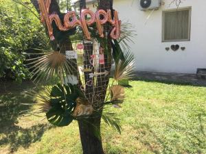 帕利克Casa Bella & Nova的棕榈树,上面有读到 ⁇ 豆草的标志