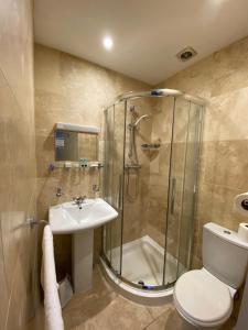 尚克林Somerton Lodge的带淋浴、卫生间和盥洗盆的浴室