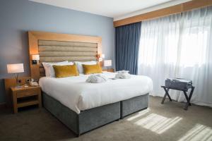 科克科克小岛丽笙酒店及spa 的一间设有大床和窗户的酒店客房