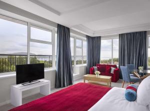 斯莱戈斯莱戈丽笙酒店及spa的酒店客房设有一张床、一台电视和窗户。