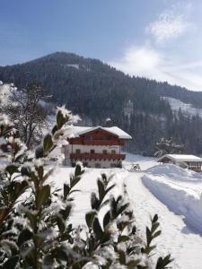 蓬高圣约翰Urlaub am Bauernhof Rothof的一座有雪盖的建筑,背景是一座山