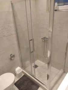 贝尔格莱德Castel Bianco的浴室设有玻璃淋浴间和卫生间