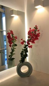 圣爱奥尼斯米科诺斯米科诺斯穆萨度假屋的客房内的花瓶,有红色的花朵