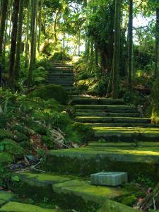 古坑桂林香波咖啡城堡民宿的花园里有树木,有一套石头台阶