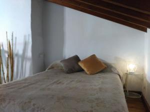 阿尔考辛Room El Pilarillo的一间卧室配有一张带两个枕头的床