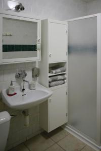 利托米什尔Penzion Holland的白色的浴室设有水槽和淋浴。