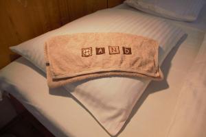 利托米什尔Penzion Holland的床上有毛巾