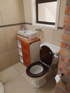 开普敦Bona Lodge的一间带卫生间和水槽的浴室