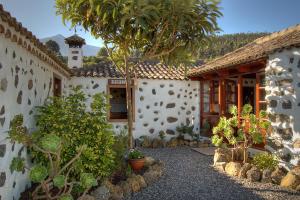 伊科德洛斯维诺斯HolidaynorthTenerife Casa rural Montiel的前面有棵树的建筑