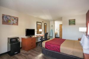 锡达拉皮兹Econo Lodge的酒店客房设有一张床和一张带电视的书桌。