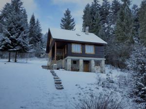 上鲁日巴希Chata FORESTINA的雪地小木屋,有一条小径