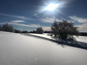 拉布雷斯切兹让米翁旅馆的天空中一片雪地,阳光照耀着
