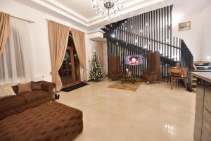 彼得罗沙尼Hotel La Belle Epoque的带沙发和圣诞树的客厅
