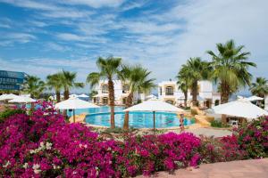 沙姆沙伊赫Amphoras Blu的一座带游泳池、棕榈树和紫色鲜花的度假村