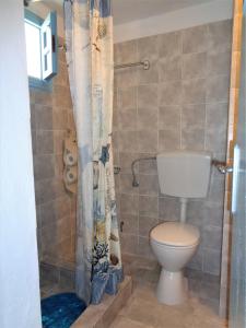 锡基诺斯岛Ostria Studios - Spilia的一间带卫生间和淋浴帘的浴室