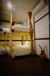 万象Barn Laos Hostel的一间带两张双层床的卧室和植物