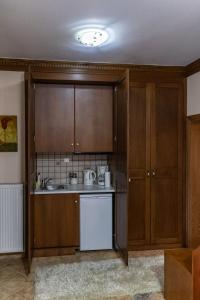 卡尔派尼西翁玛吉特套房酒店的一个带木制橱柜和水槽的厨房