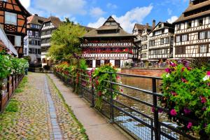 斯特拉斯堡Strasbourg Appart Cosy Hyper Centre的一群花似的建筑物,毗邻一条河