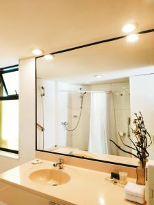 康塞普西翁阿尔伯拉达酒店的一间带水槽和大镜子的浴室