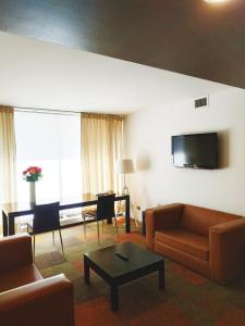 康塞普西翁阿尔伯拉达酒店的客厅配有沙发和桌子