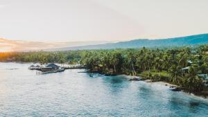 Maninoa辛纳雷礁水疗度假酒店的棕榈树河流的空中景观