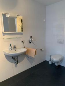 基尔恩Pension Hannes的白色的浴室设有水槽和卫生间。