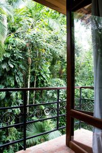 坎布里Estalagem Camburi的享有郁郁葱葱的绿色森林景致的窗户。