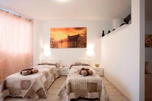普拉托费鲁奇住宅酒店的墙上画画的房间的三张床