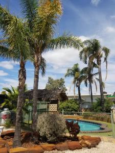 WinkieGlossop Motel的一个带游泳池和棕榈树的度假村