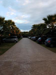 维耶斯泰Villaggio Alba Chiara的一条鹅卵石街道上,有停车的汽车和棕榈树