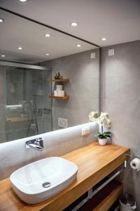 卢布尔雅那城市公寓的浴室设有白色水槽和镜子