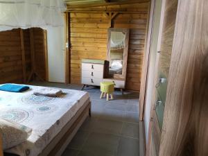 MtsangadouaLa maison du nord, T2 privé的一间卧室配有一张床、梳妆台和镜子