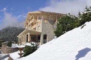 塞尔瓦迪加尔代纳山谷Hotel Portillo Dolomites 1966'的雪覆盖的斜坡顶部的房子