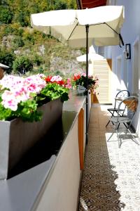 帕绍Passau - Suites的一个带遮阳伞的柜台上阳台,阳台上摆放着鲜花