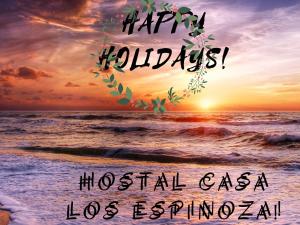 马那瓜Hostal Casa Los Espinoza的快乐的假期音乐会 海报