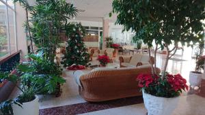 美洲海滩Apartment El Dorado的客厅拥有圣诞树、家具和植物