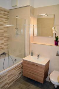 杰尔Riverside Apartman with Free Parking的一间带水槽、淋浴和卫生间的浴室