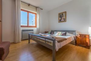 茨里克韦尼察Apartment Roni的一间卧室设有一张床和一个大窗户
