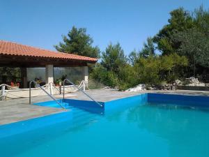 多布罗波尔贾纳Aparthotel Vila Danica的一座带房子和树木的蓝色游泳池