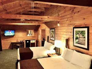 Warm Springs山顶度假宾馆的一间卧室配有两张床和一张书桌及电视