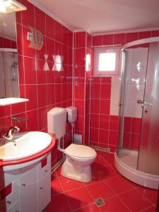 布朗Vila Brandusa的红色的浴室设有卫生间和水槽