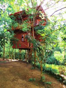 韦利格默米迪加马木屋的森林中的一个树屋
