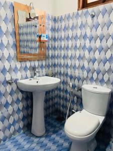 努沃勒埃利耶Shiny View的一间带卫生间、水槽和镜子的浴室