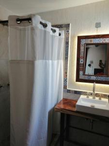 图斯特拉古铁雷斯Hotel Casa del Agua的浴室配有淋浴帘和盥洗盆。