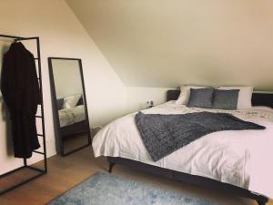 登德尔蒙德Molenstraat的一间卧室配有一张大床和镜子