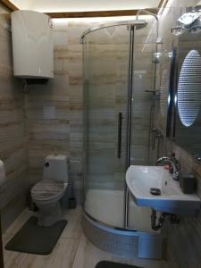 斯特日布罗Isabellino údolí的带淋浴、卫生间和盥洗盆的浴室