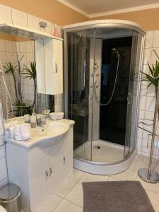 Gnesau拉格维特旅馆的带淋浴和盥洗盆的浴室