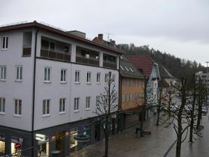 图特林根Restaurant Engel am Marktplatz Tuttlingen的街上一排树木林立的建筑物