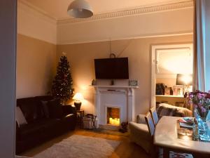 邓弗姆林A Wee Cottage In Dunfermline的客厅配有圣诞树和壁炉